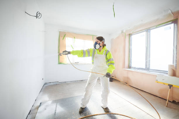 Best Ceiling Drywall Installation  in Cornersville, TN